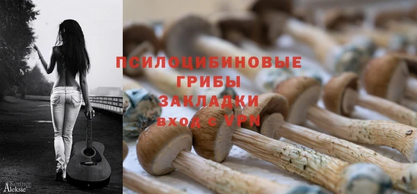 СК Покров