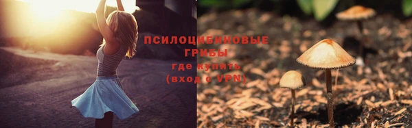 СК Покров