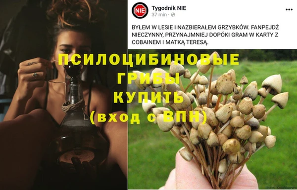 сатива Покровск