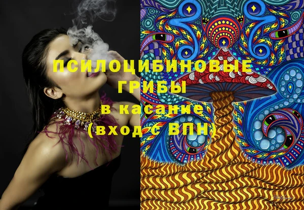 гидропоника Пересвет